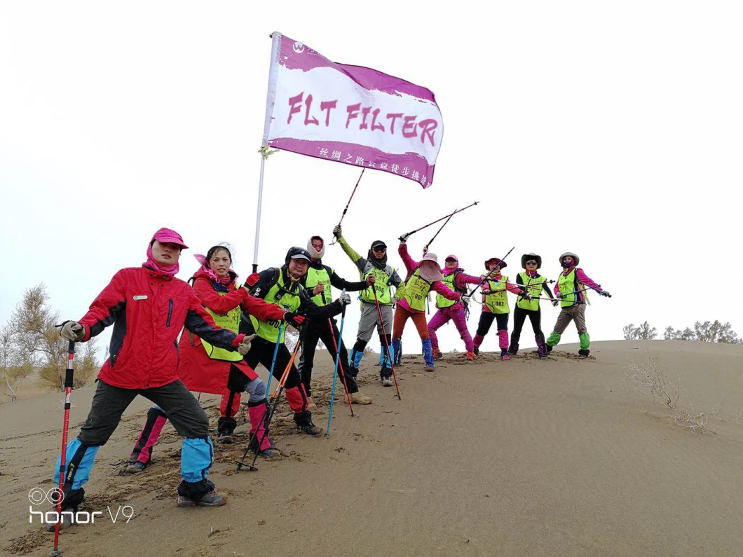 550GSM กระเป๋ากรองพอลิเอสเตอร์ PTFE Membrane สําหรับโรงงานผลิตซีเมนต์ไฟฟ้าเหล็ก 9